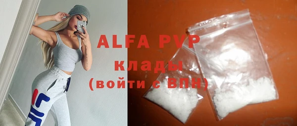 мяу мяу мука Иннополис