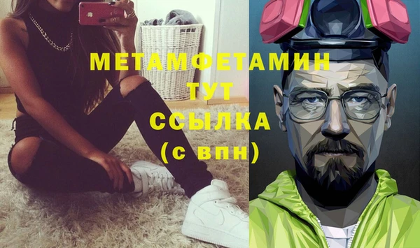 прущие грибы Куртамыш
