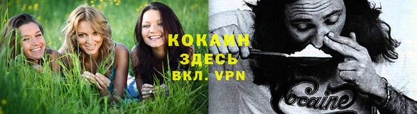 a pvp Инта