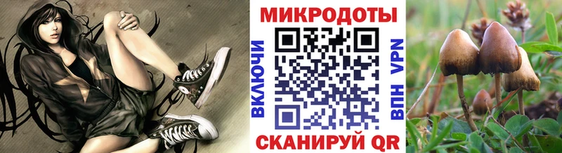 Галлюциногенные грибы GOLDEN TEACHER  Сольцы 